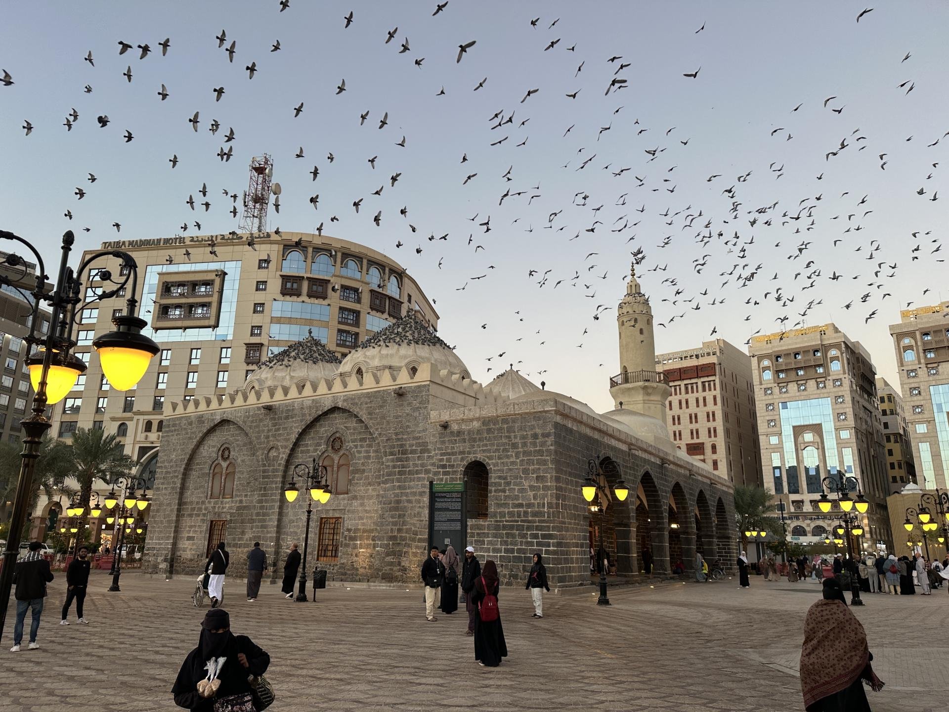 모스크 정면 (비둘기와 함께)